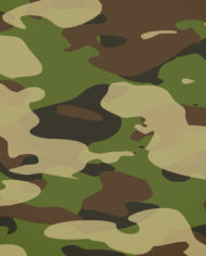 camouflage