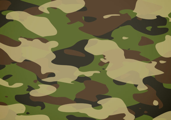 camouflage