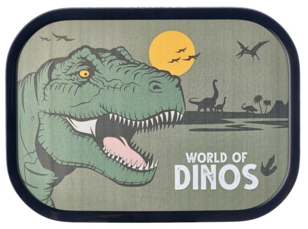 caja_dinos