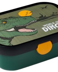 caja_dinos2