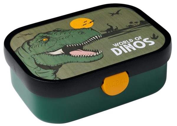 caja_dinos2