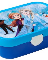 caja_frozen2