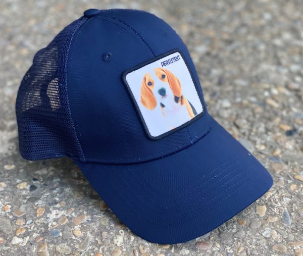 gorraanimalesazulmarino