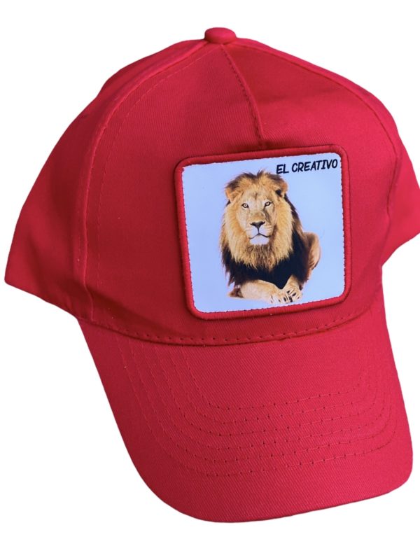 gorratruckeranimalesniñoroja