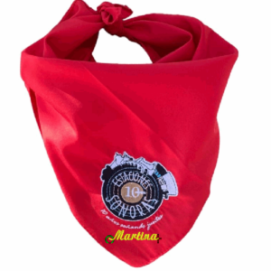 Pañuelo peña personalizado